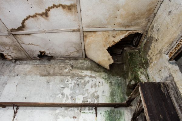 Cost of Water Damage Service in Naples