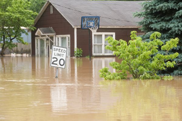 Cost of Storm Restoration Service in Naples