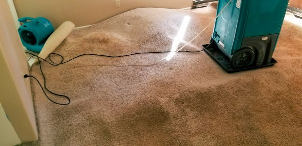 Cost of Flood Damage Cleanup in Naples