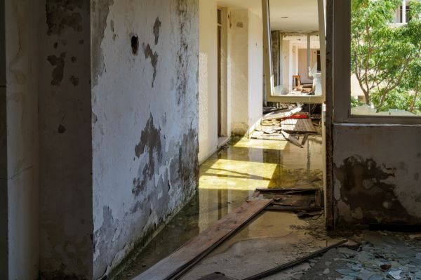 Cost of Water Removal Service in Naples