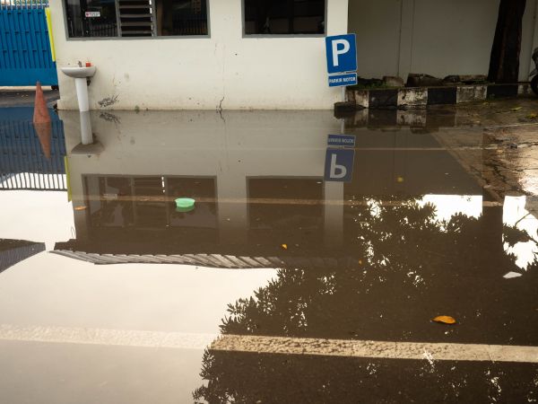 Cost of Storm Damage Repair in Naples